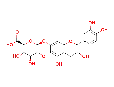 (-)-epicatechin-7-O-β-D-glucuronide