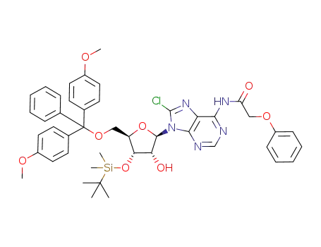 N-{9-[5-[bis-(4-methoxy-phenyl)-phenyl-methoxymethyl]-4-(tert-butyl-dimethyl-silanyloxy)-3-hydroxy-tetrahydro-furan-2-yl]-8-chloro-9H-purin-6-yl}-2-phenoxy-acetamide