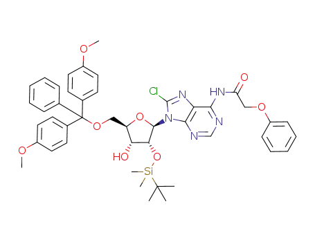 N-{9-[5-[bis-(4-methoxy-phenyl)-phenyl-methoxymethyl]-3-(tert-butyl-dimethyl-silanyloxy)-4-hydroxy-tetrahydro-furan-2-yl]-8-chloro-9H-purin-6-yl}-2-phenoxy-acetamide