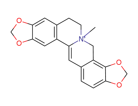 N-Methyl-dihydrocoptisinium-Kation