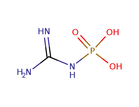Molecular Structure of 3019-36-1 (amidinophosphoramidic acid)