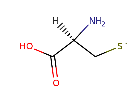 Cysteine thiyl radical