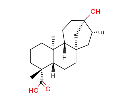 (16S)-13-hydroxy-ent-kauran-19-oic acid