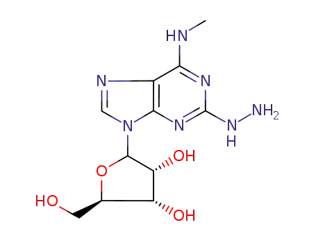 2-hydrazino-N6-methyladenosine
