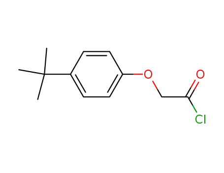Molecular Structure of 90734-55-7 (4-TERT-BUTYLPHENOXYACETYL CHLORIDE)