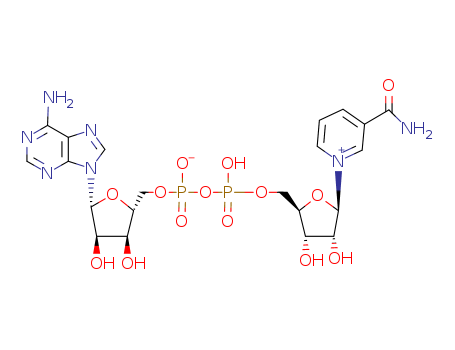 53-84-9,beta-Diphosphopyridine nucleotide,5'-ester with 3-(aminocarbonyl)-1-b-D-ribofuranosylpyridinium hydroxide, inner salt;Adenine-nicotinamide dinucleotide;CO-I;Codehydrase I;Codehydrogenase I;Coenzyme I;Cozymase I;DPN;Diphosphopyridine nucleotide;Enzopride;NAD;NAD+;NSC 20272;Nadide;Nicotinamide-adenine dinucleotide;Oxidized diphosphopyridine nucleotide;Adenosine5'-(trihydrogen diphosphate), P'?5'-ester with 3-(aminocarbonyl)-1-b-D-ribofuranosylpyridinium, inner salt;b-NAD;b-NAD+;b-Nicotinamide adenine dinucleotide;[(2R,3S,4R,5R)-5-(6-aminopurin-9-yl)-3,4-dihydroxy-tetrahydrofuran-2-yl]methyl [[(2R,3S,4R,5R)-5-(3-carbamoylpyridin-1-ium-1-yl)-3,4-dihydroxy-tetrahydrofuran-2-yl]methoxy-oxido-phosphoryl] phosphate;