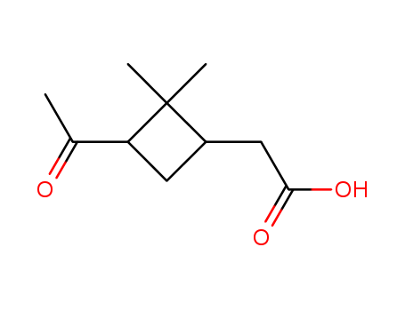 cis-Pinonic acid