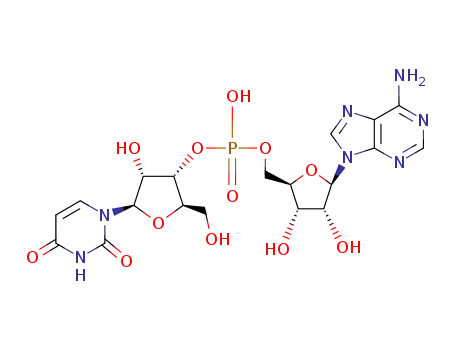 Molecular Structure of 3256-24-4 (Uridylyl-(3.fwdarw.5)-adenosine)