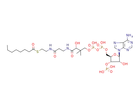 Molecular Structure of 1264-52-4 (N-OCTANOYL COENZYME A (C8:0))
