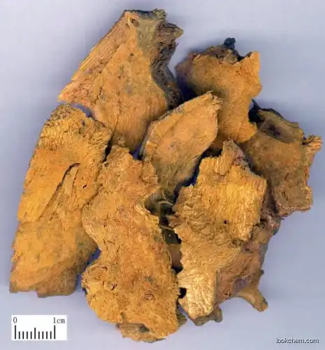 Giant Knotweed Extract(65914-17-2)