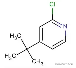 81167-60-4  Pyridine, 2-chloro-4-(1,1-dimethylethyl)-