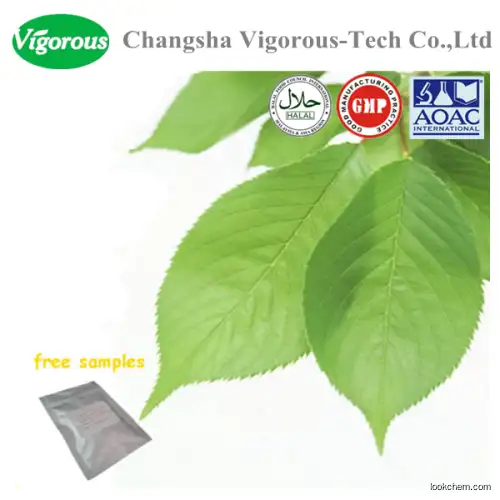 100% natural 1-dnj 5%Flovonoid mulberry leaf extract()