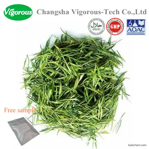 High quality 30% green tea L-theanine()