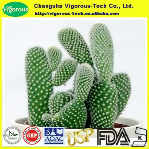 Natural 20:1 plant extractions hoodia cactus extract powder()