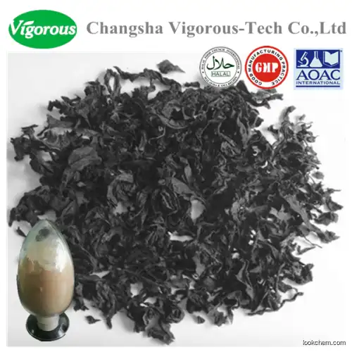 High Quality Seaweed Kelp Extract Fucoxanthin Powder 10%()
