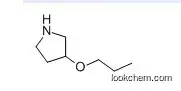 3-Propoxypyrrolidine(946681-61-4)