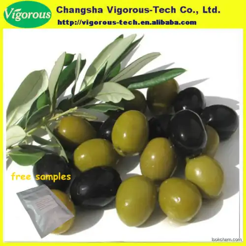 High quality olive leaf extract powder