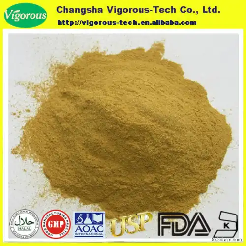 GMP factory supply gingerol 6% ginger extract powder/p.e.