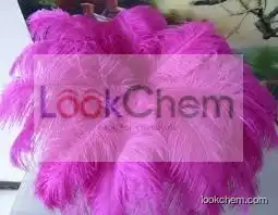 Natural Ostrich Feather