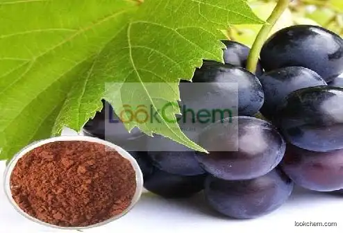 Grape Seed(84929-27-1)
