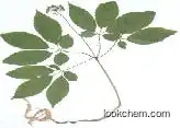 Ginseng Root(90045-38-8)