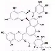 Theaflavine-3,3'-digallate(TFBG)