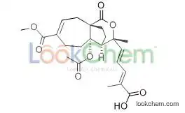 Isoorientin 82508-31-4