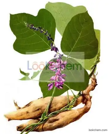 Puerarin Pueraria Root Extract(3681-99-0)