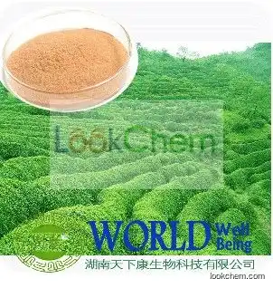 98% Tea Polyphenol Green Tea Extract(84650-60-2)