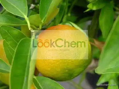 Grapefruit oil,Grapefruit essential oil,Plant oil,CAS 8016-20-4