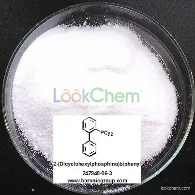 Manufacture High purity White powder 2-(Dicyclohexylphosphino)biphenyl(247940-06-3)