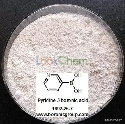 Manufacture High purity White powder Pyridine-3-boronic acid(1692-25-7)