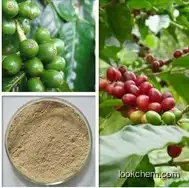 Green coffee Bean Extract