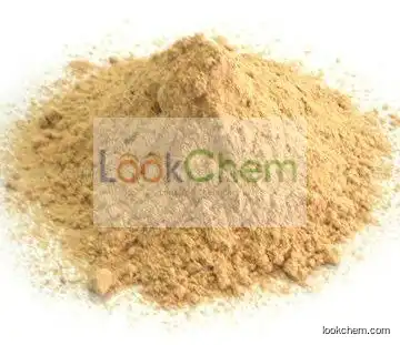 Feed Additives Lysine 98.5%(10098-89-2)
