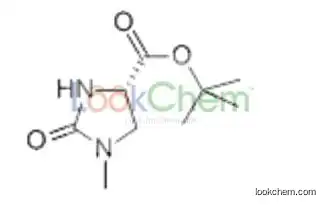 83056-79-5-(4S)-1-methyl-2-oxoimidazolidine-4-carboxylic acid t-butyl ester