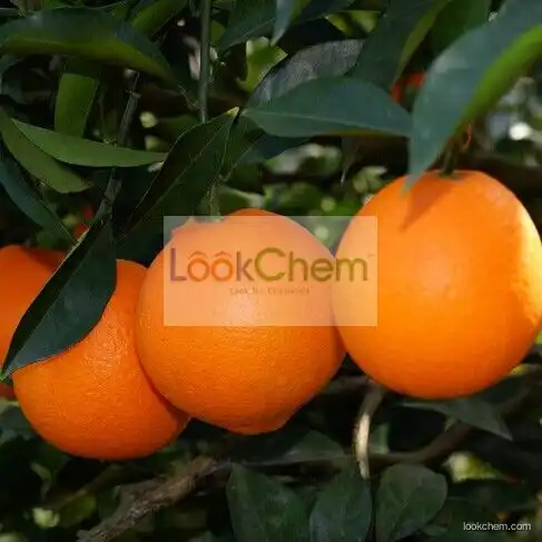 Hesperetin CAS 520-33-2 Citrus Aurantium Extract