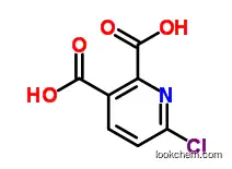 6-Chloropyridine-2,3-dicarboxylic acid