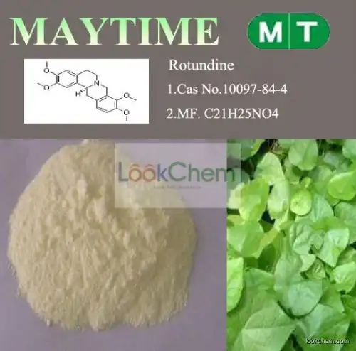 Natural Rotundine Supplier CAS:10097-84-4