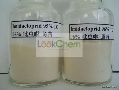 Imidacloprid 95%TC,25%WP,10%WP(138261-41-3)