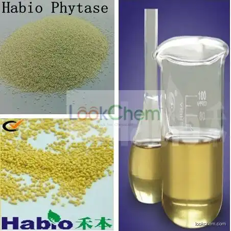 Thermostable Phytase, 5K U/g - 100K U/g(37288-11-2)