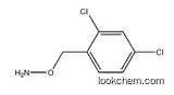 O-[(2,4-Dichlorophenyl)methyl]hydroxylamine