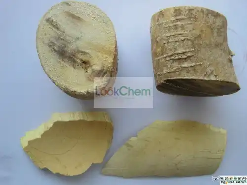Eurycoma Longifolia Jack (Tongkat Ali extract)