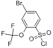 4-Bromo-2-(trifluoromethoxy)benzenesulfonyl chloride