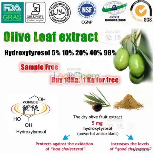 Olive Leaf Extract 10%-50% Oleuropein(32619-42-4)