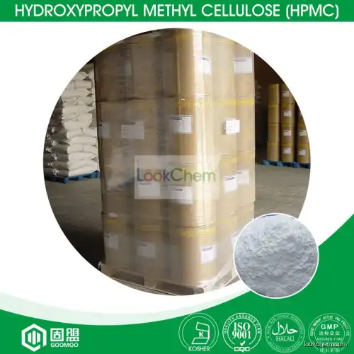 China biggest manufacturer supply pharma grade Hydroxypropyl methyl cellulose