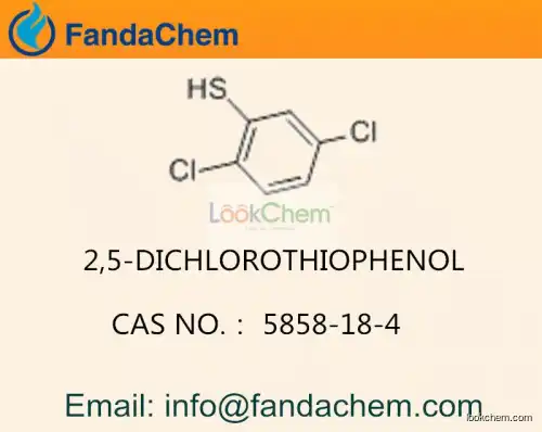 2,5-Dichlorothiophenol / C6H4Cl2S cas  5858-18-4