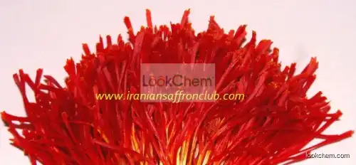 saffron powder or saffron liquid(8022-19-3)