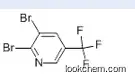 2,3-Dibromo-5-(Trifluoromethyl)Pyridine