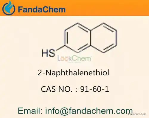 2-Naphthalenethiol / C10H8S cas  91-60-1 (Fandachem)