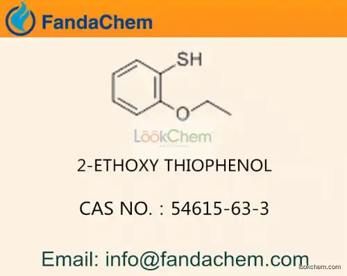 2-ETHOXYTHIOPHENOL cas 54615-63-3 (Fandachem)